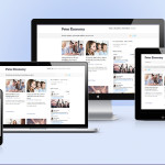 Responsive WordPress website help - PeterEconomy.com