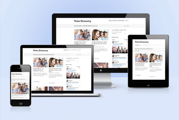 Responsive WordPress website help - PeterEconomy.com